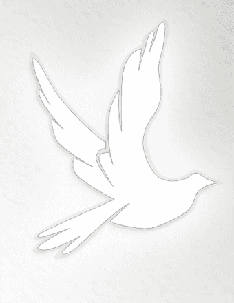 Faye Elizabeth Levow Obituary