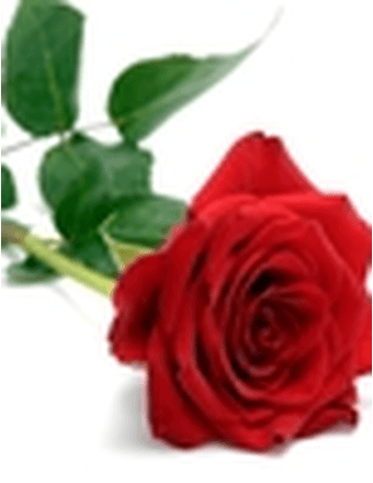 Boris Mukhin Obituary
