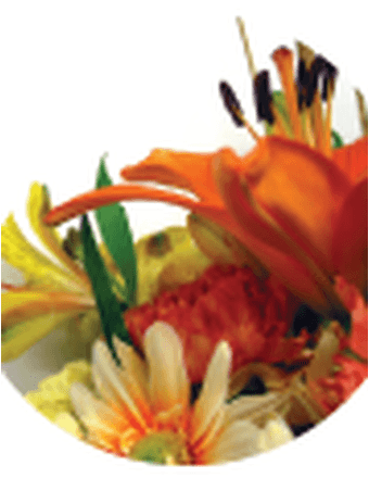 Ruth Elilzabeth (Melean) Alchin Obituary